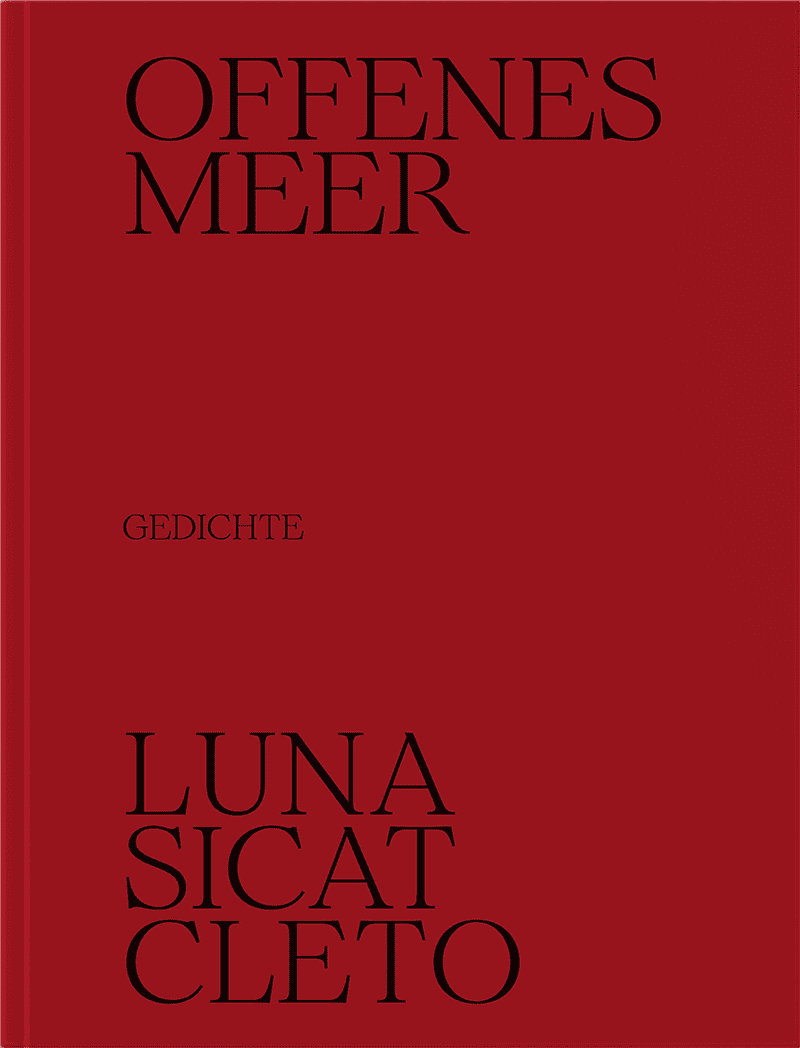 Offenes Meer. Gedichte